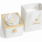 Rosa Eterna y Collar Trébol